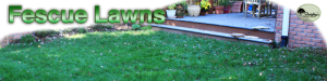 Ways to tell what lawn grass you should have. Nashville-Lawn-Care-Brentwood-Franklin-Fescue