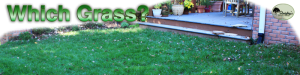 Nashville-Lawn-Care-Which-Grass for Brentwood, Franklin, Spring Hill, Nolensville, Smyrna, Murfreesboro TN.