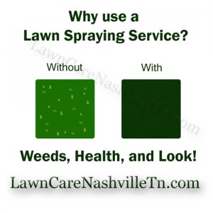 Nashville Lawn Fertilization